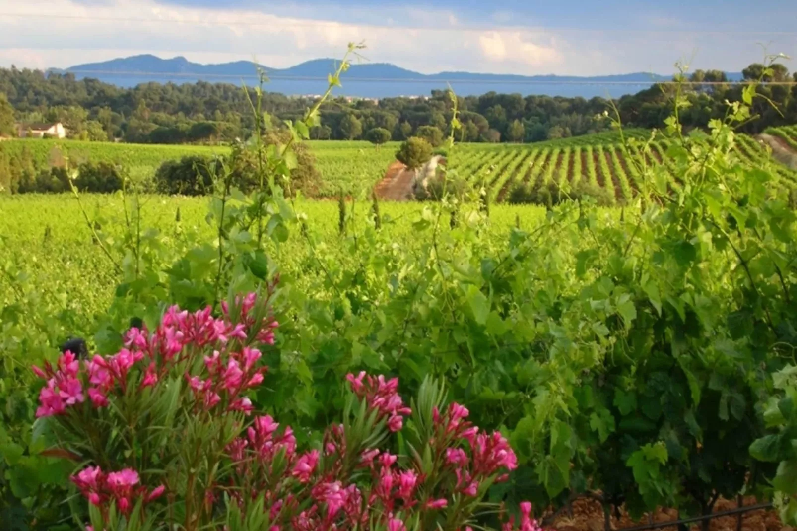 Villa Aramis-Areas summer 5km