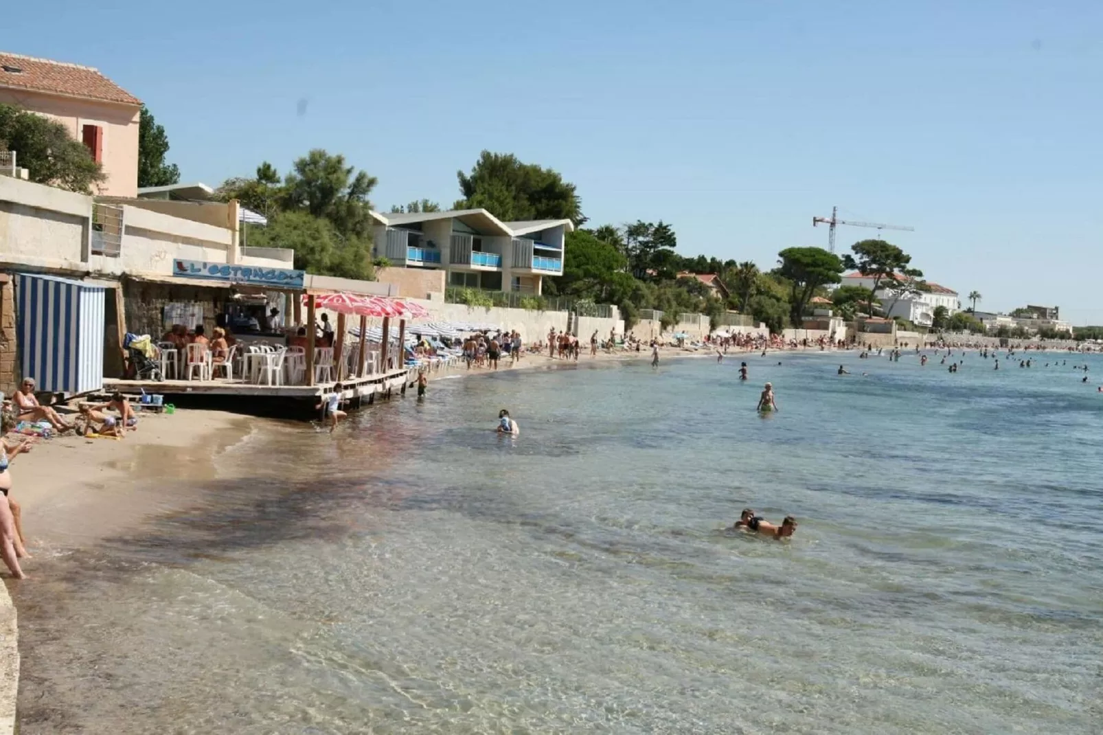Mar vivo-Areas summer 1km