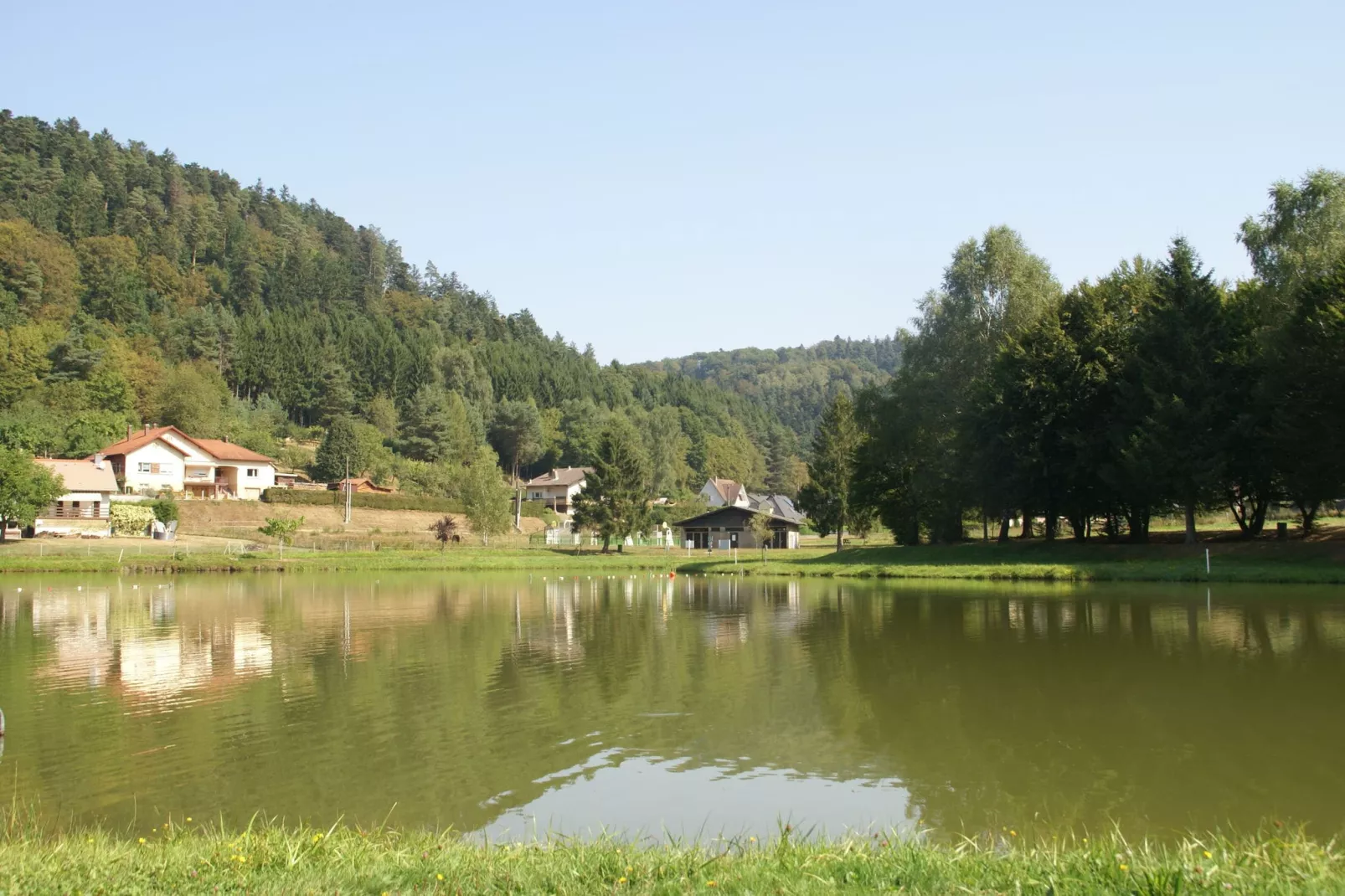 A l'Orée des Bois-Areas summer 5km