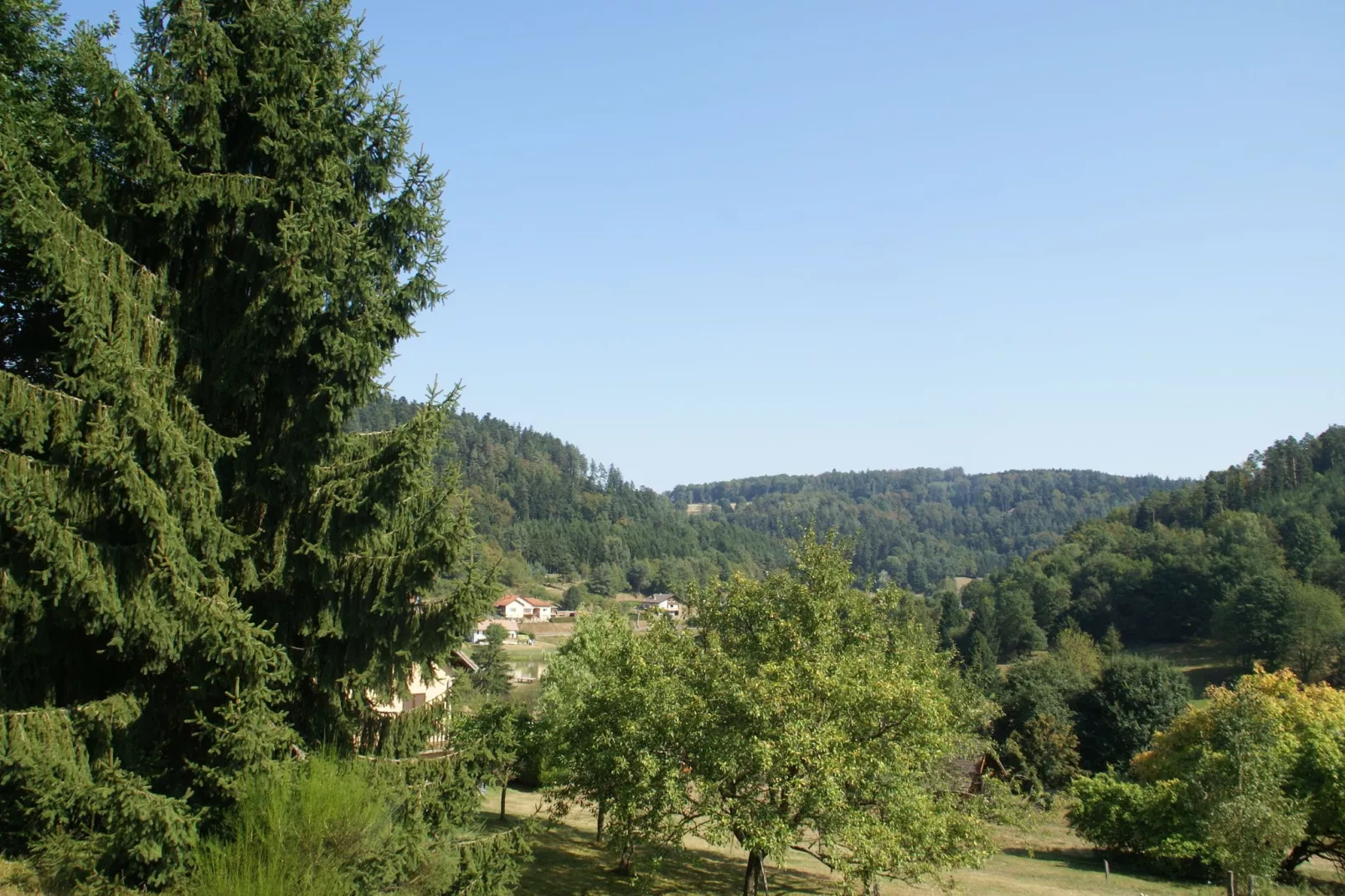 A l'Orée des Bois-Areas summer 5km