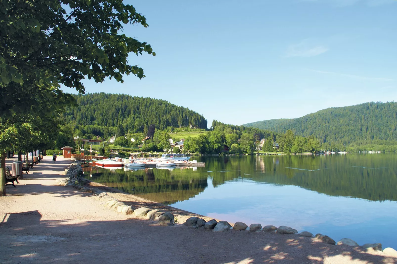 A l'Orée des Bois-Areas summer 20km