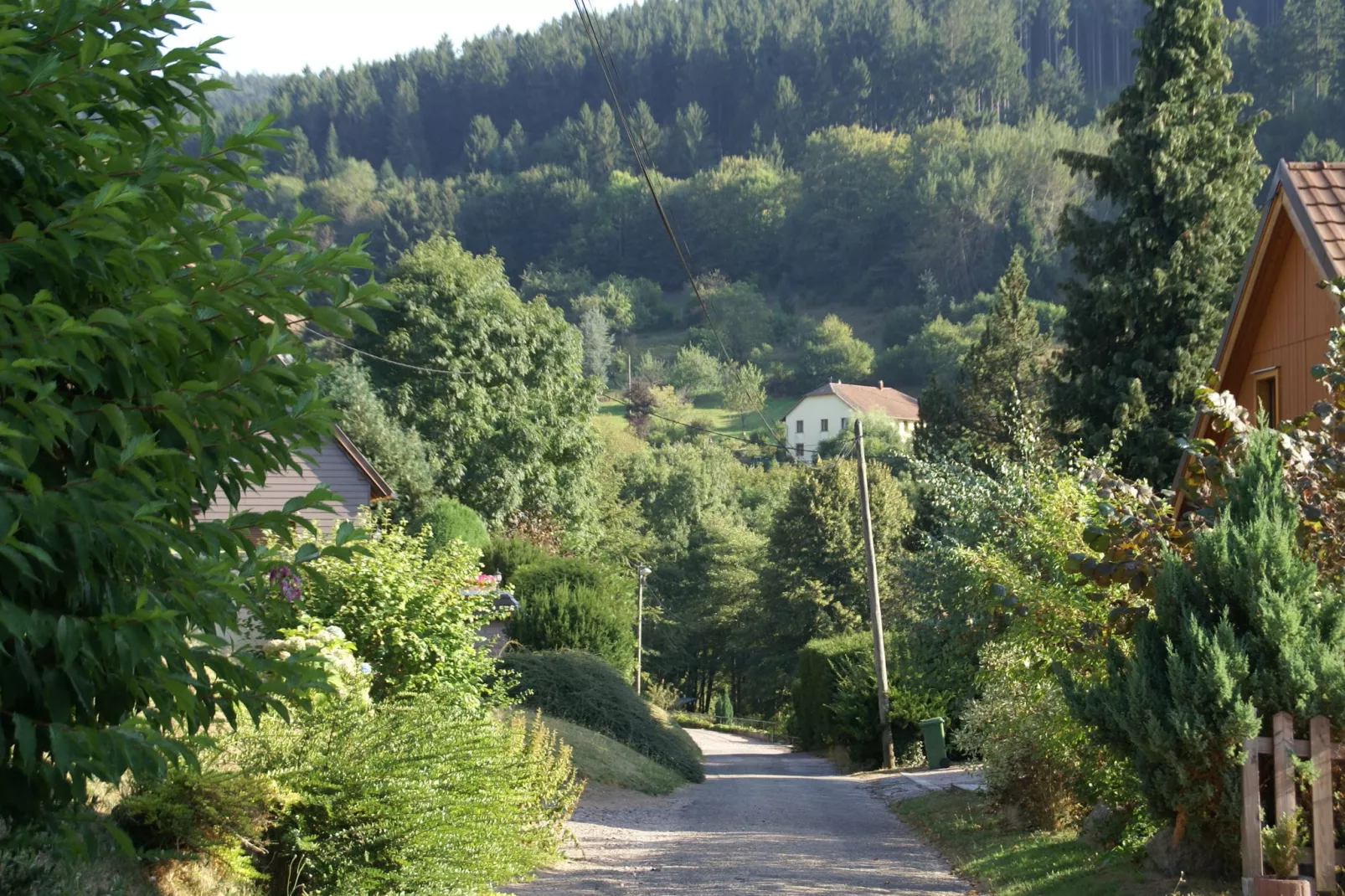 Ronds Chetys-Areas summer 5km