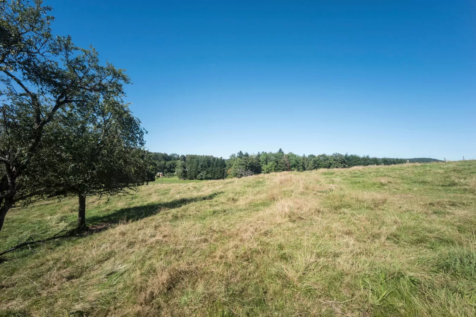 Le Dropt-View summer