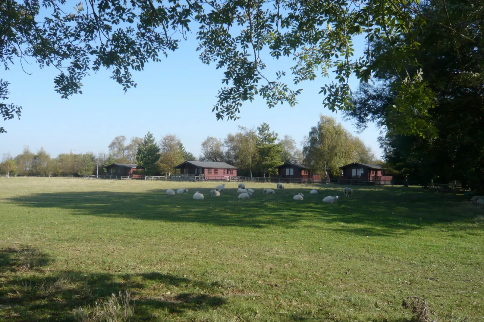 Tore Petty-Areas summer 5km