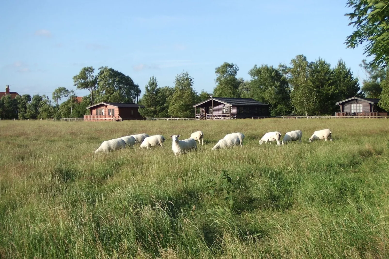 Tore Petty-Areas summer 1km