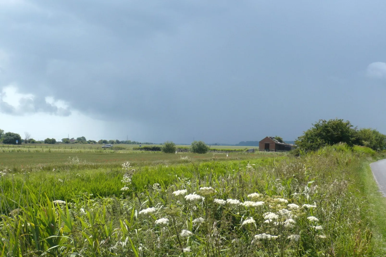 Tore Petty-Areas summer 1km