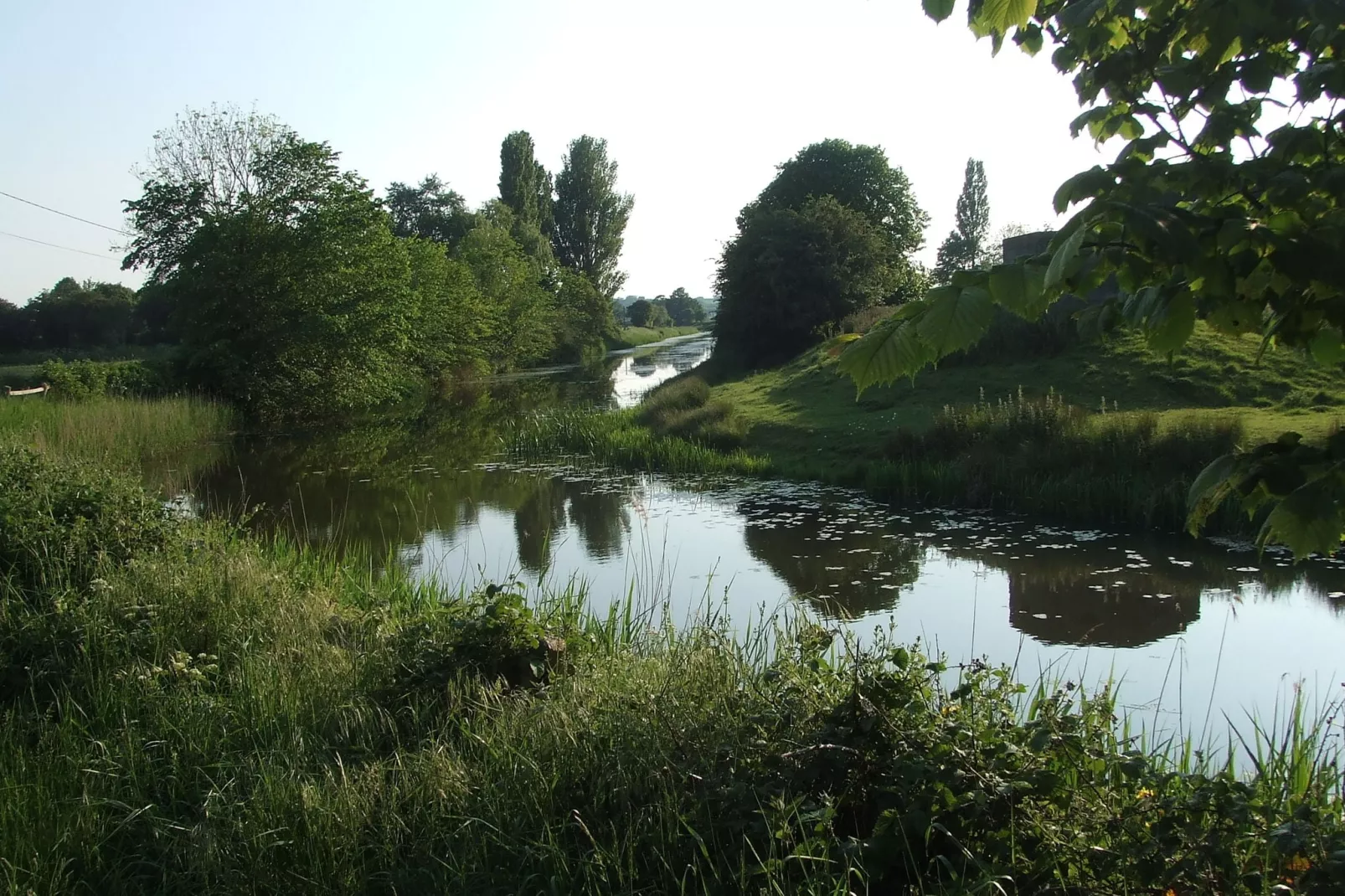 Tore Petty-Areas summer 5km
