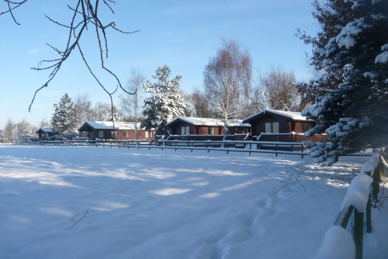 Five Waterings-Garden winter