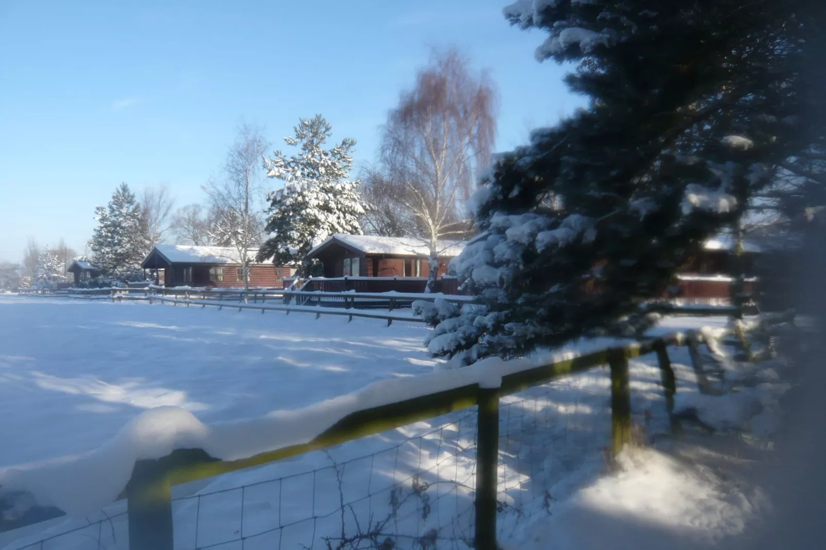 Five Waterings-Area winter 1km