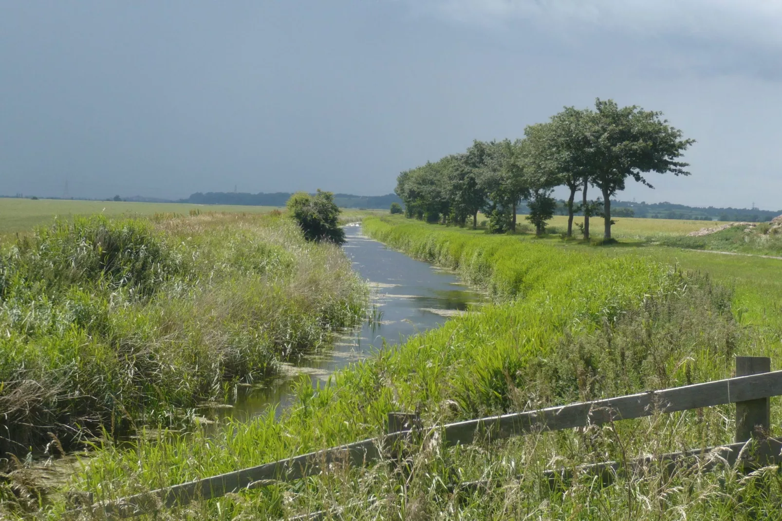 Rainbow Petty-Areas summer 5km