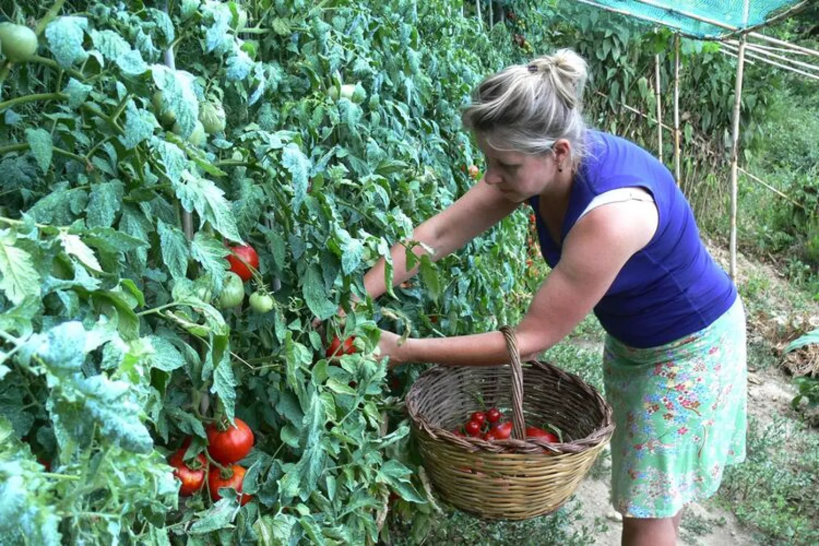 Agri-tourism La Filomena Montefortino - Priora - Garten Sommer
