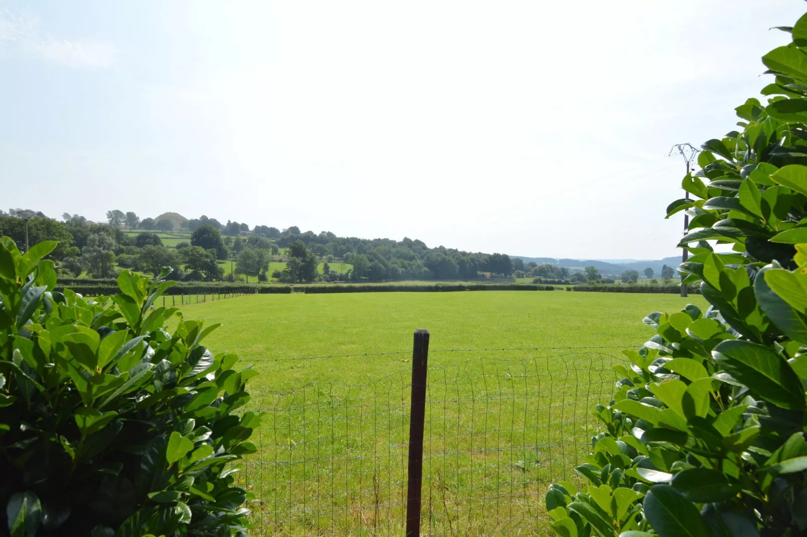 Remonval-Areas summer 1km