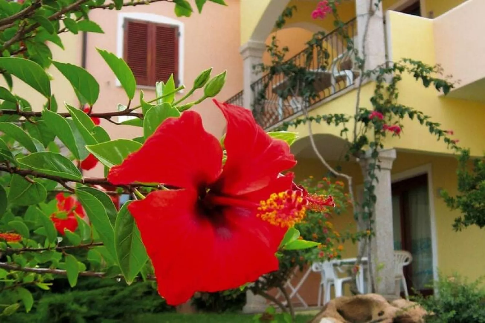 Residence Badus, Badesi-Trilo 6-Gardens summer