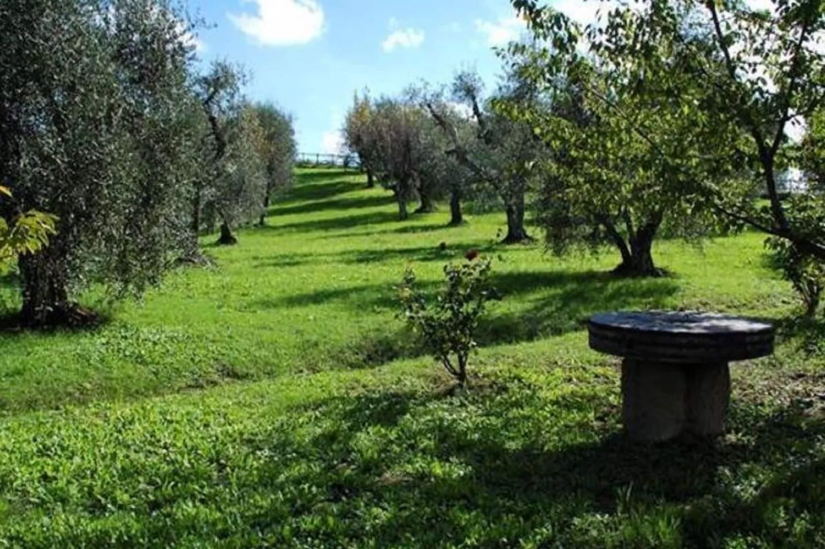 Podere Torre-Areas summer 1km