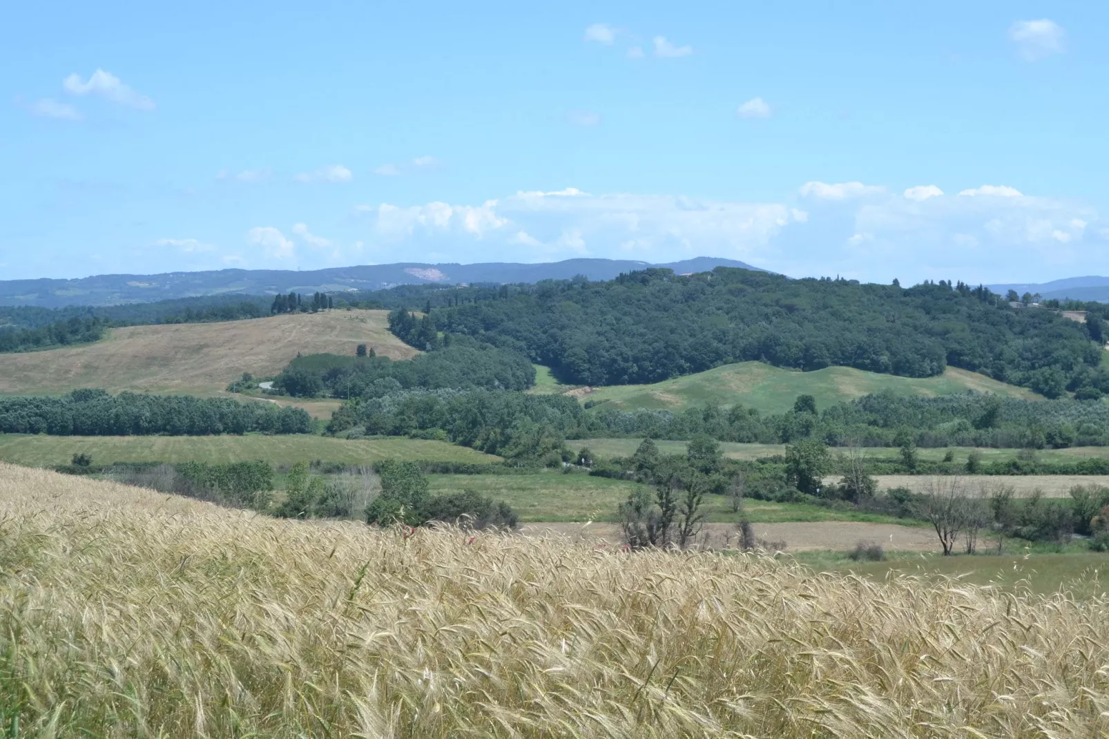 Gatterino-Areas summer 1km