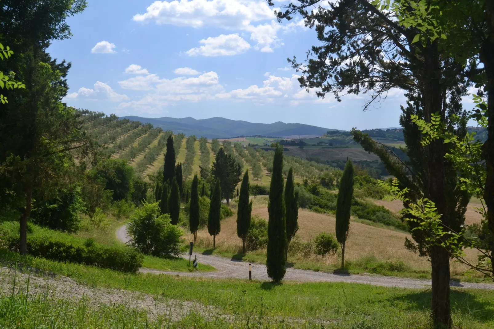 Gatterino-Areas summer 5km