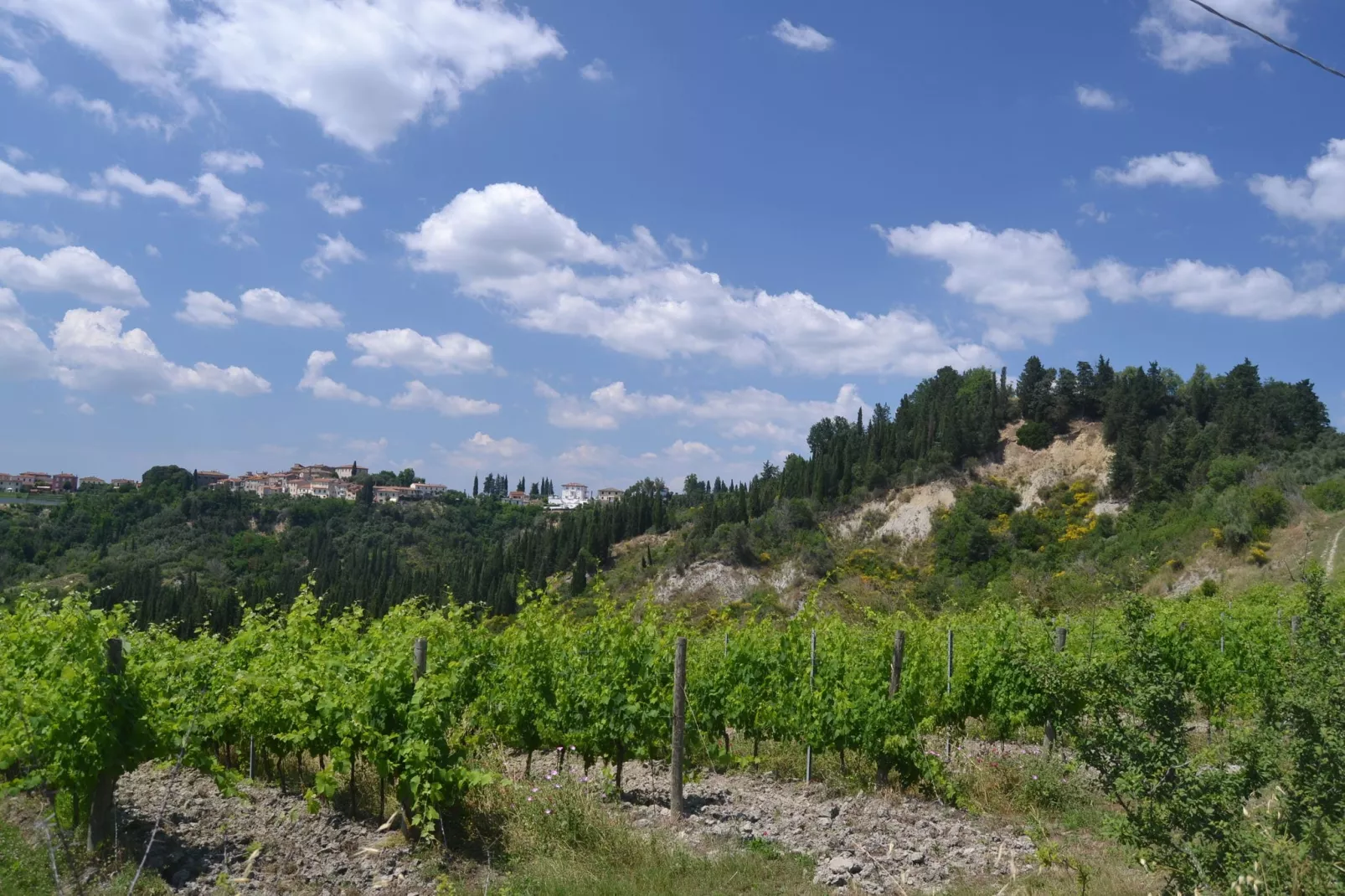 Gatterino-Areas summer 5km