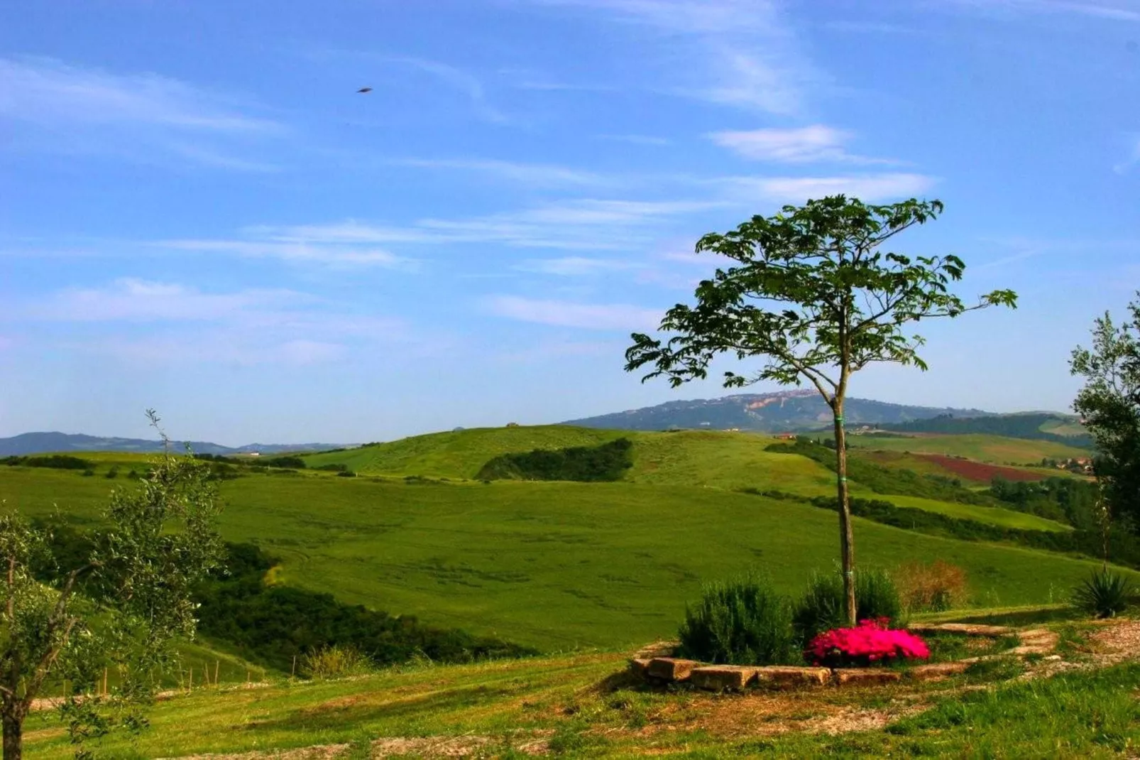 Ciclamino-View summer