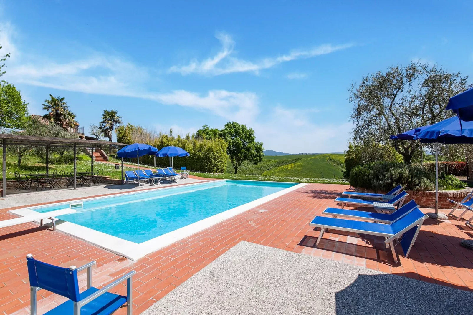 Calendula-Pool