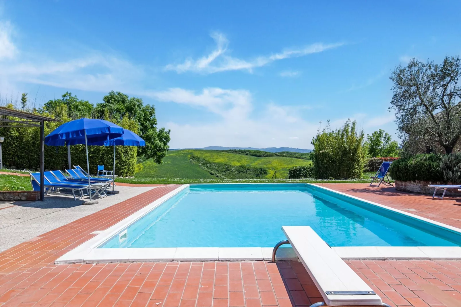 Calendula-Pool
