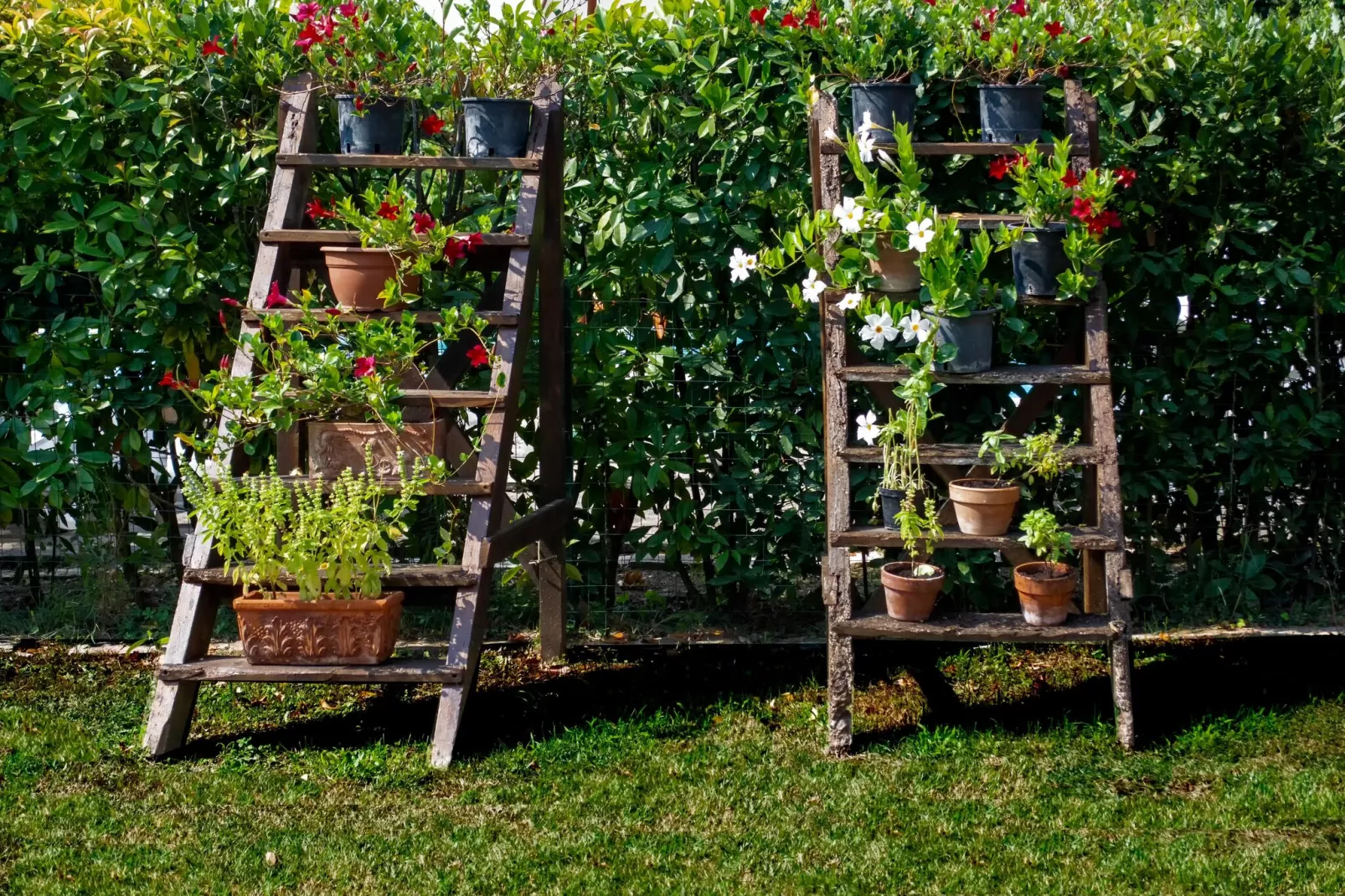 Appartamento Sole-Atmosphere