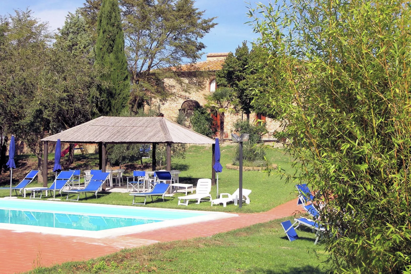 Edera-Exterior summer