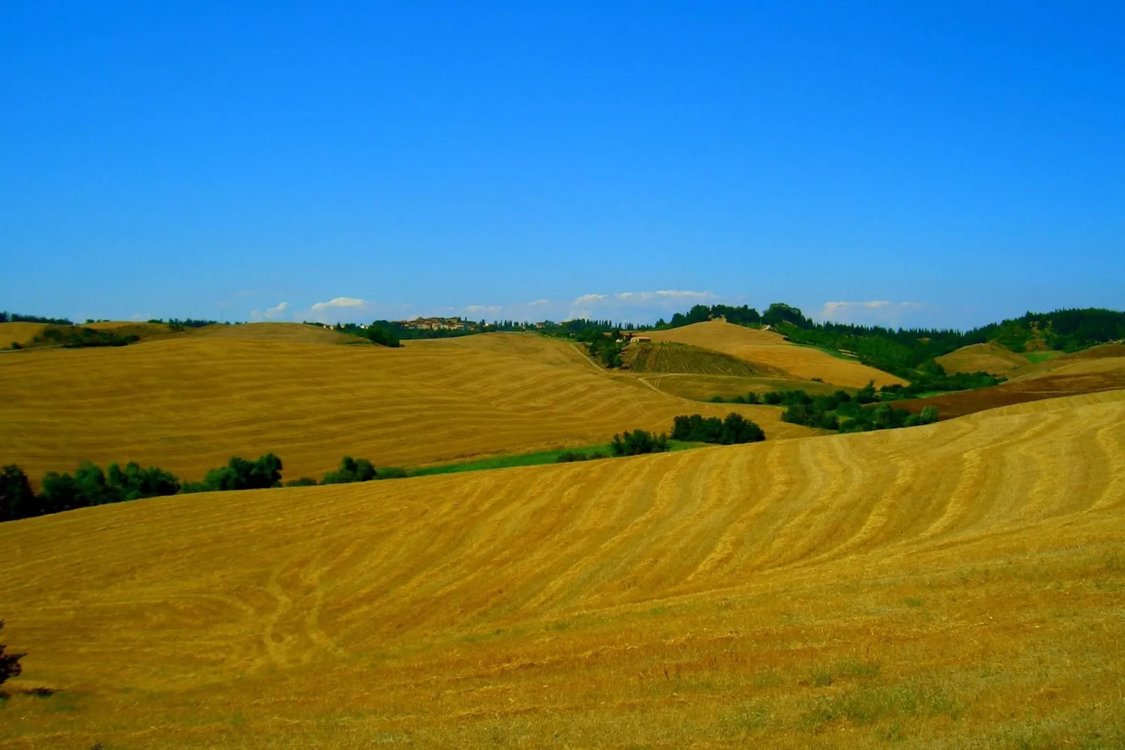 Edera-View summer