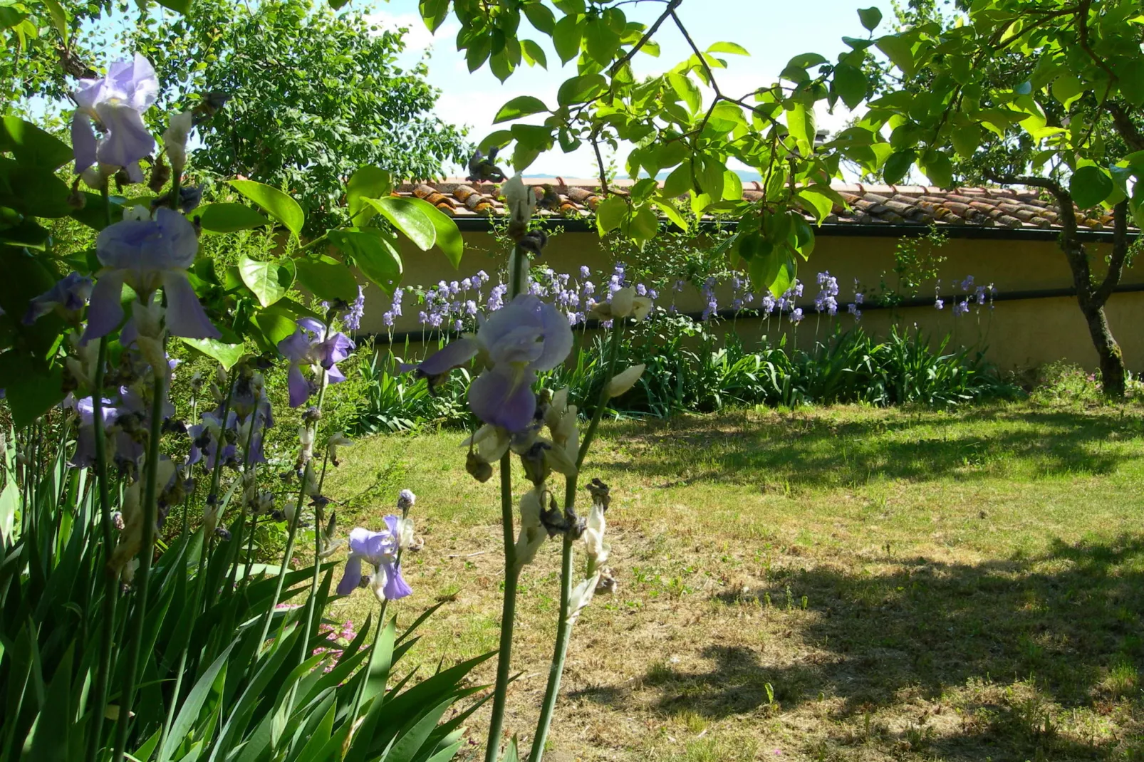 Cennini-Gardens summer