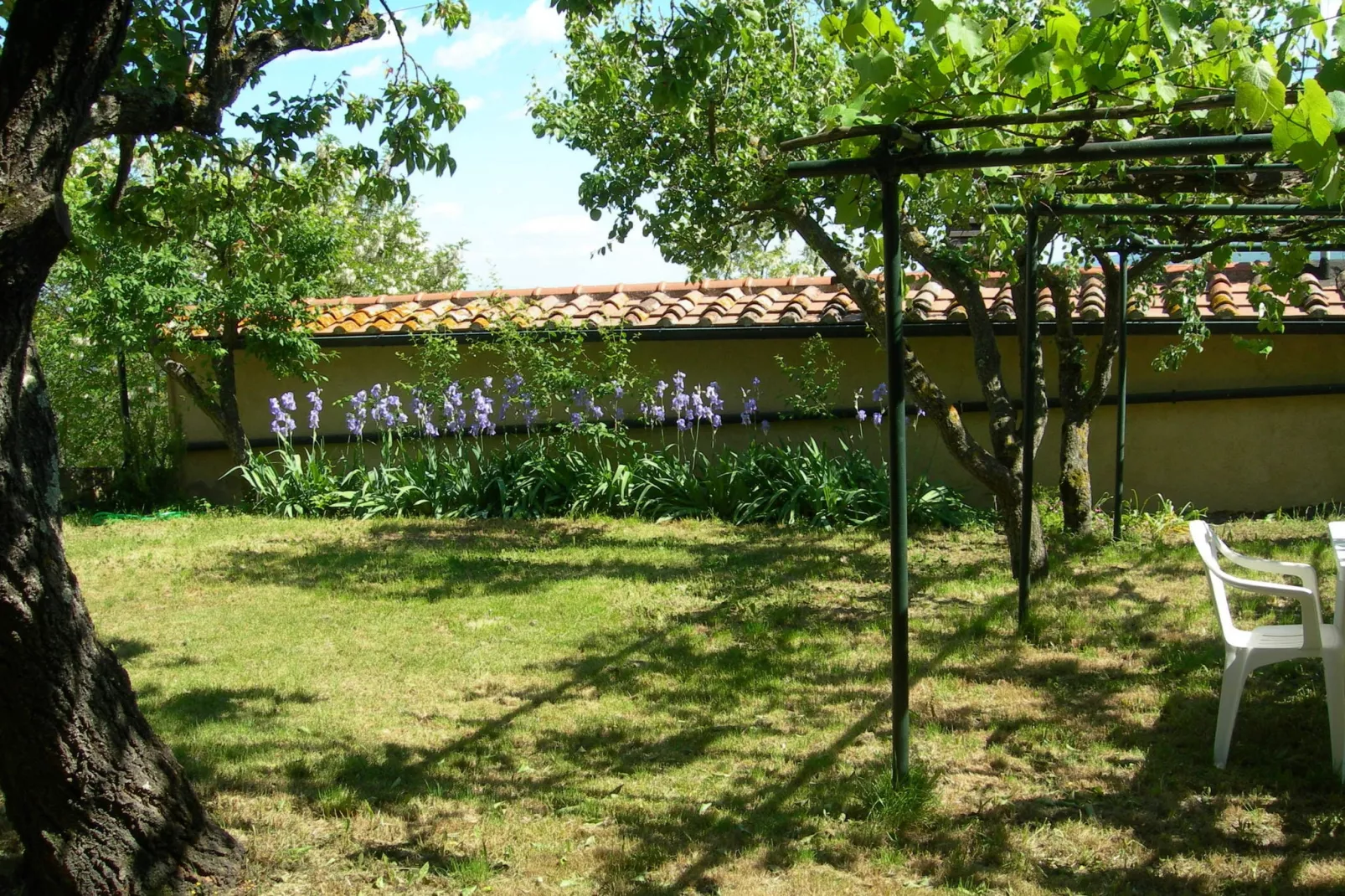 Cennini-Gardens summer