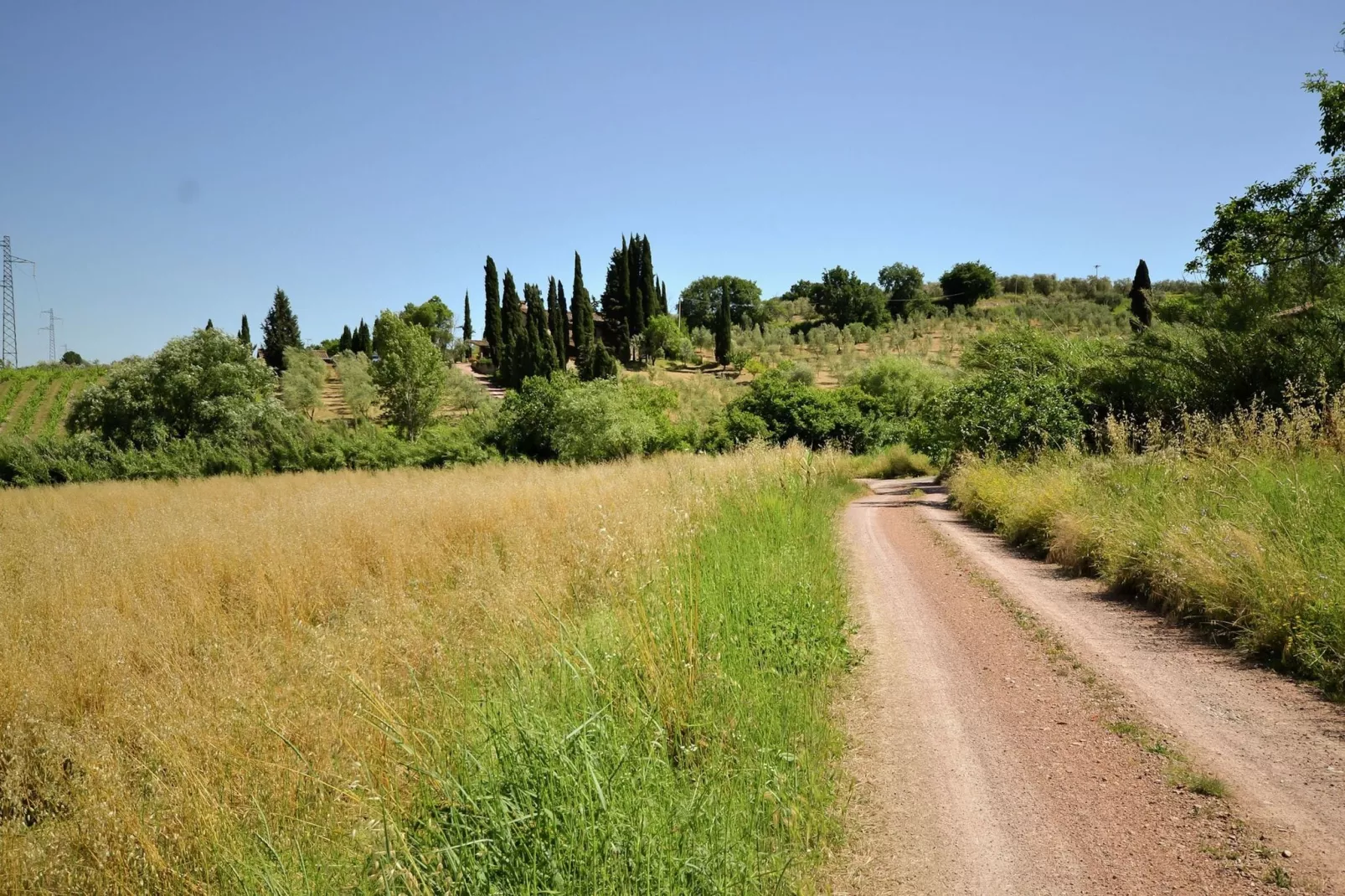 Affreschi-Areas summer 5km