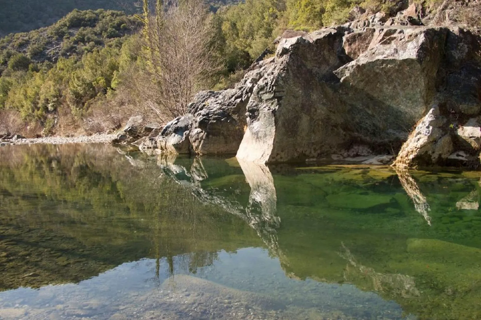 Bellavista-Areas within 1km in summer