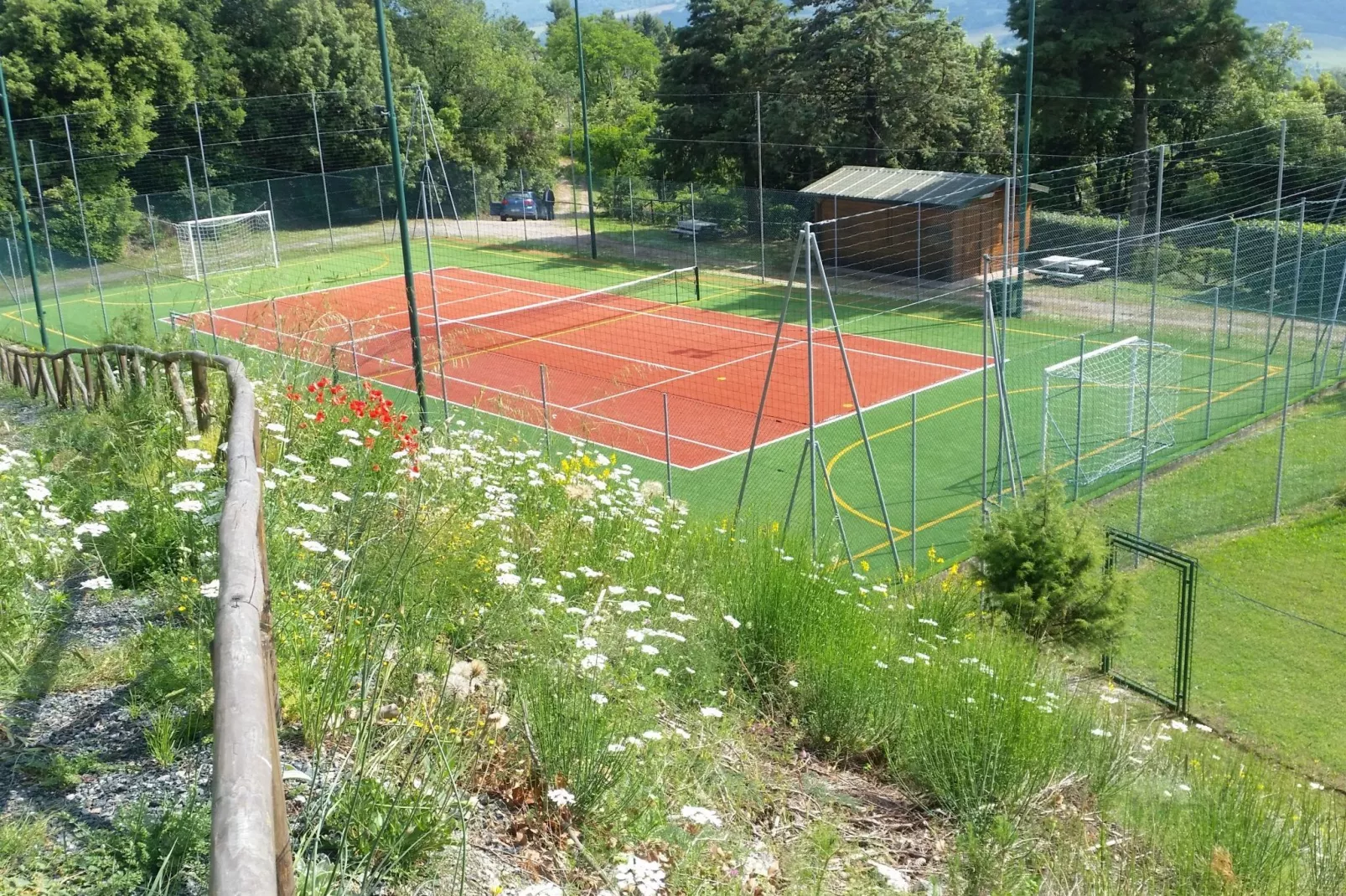 Bellavista-Areas within 1km in summer