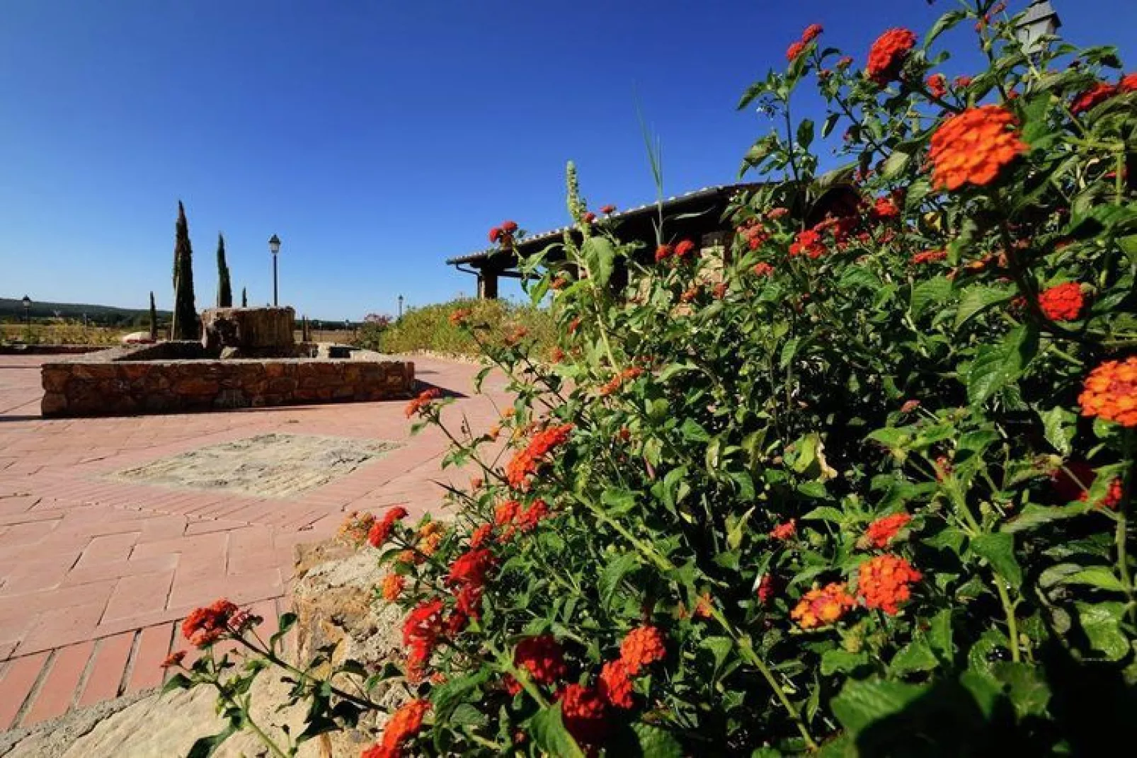 Armonia-Gardens summer