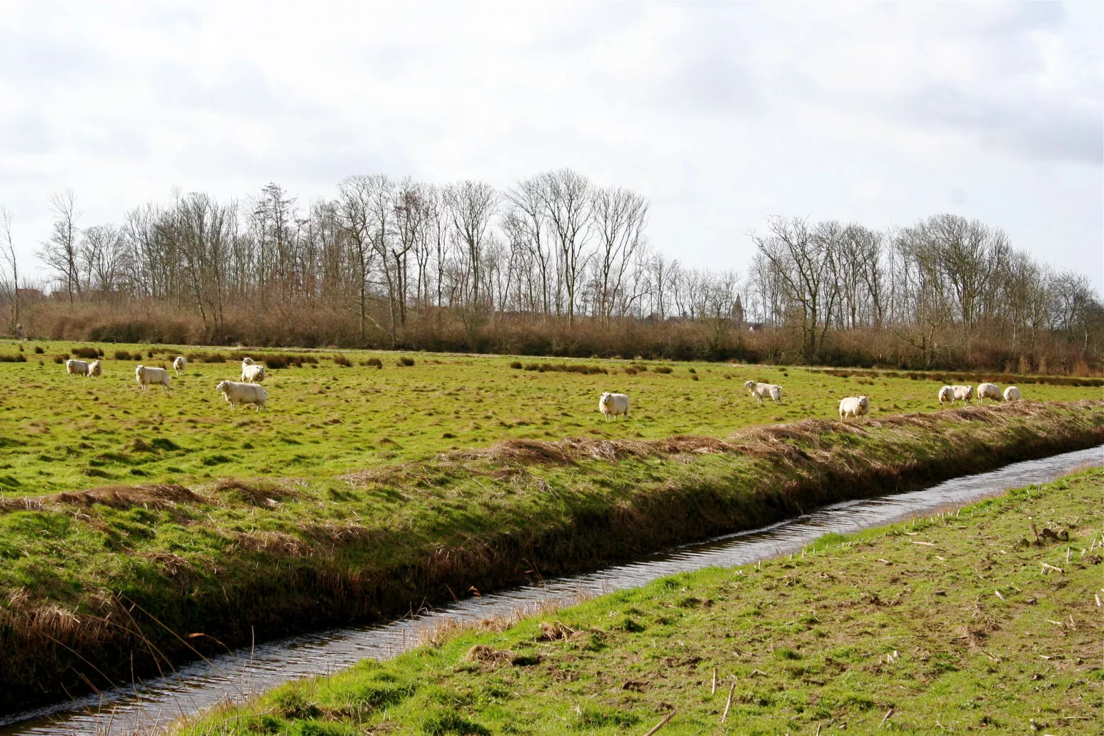 Recreatiepark Wiringherlant - Villa 15-Zones d'été à 5 km