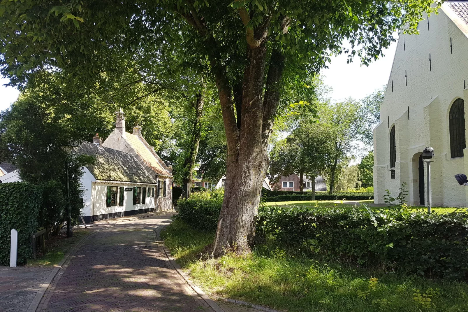 De Groene Lantaarn-Areas summer 1km