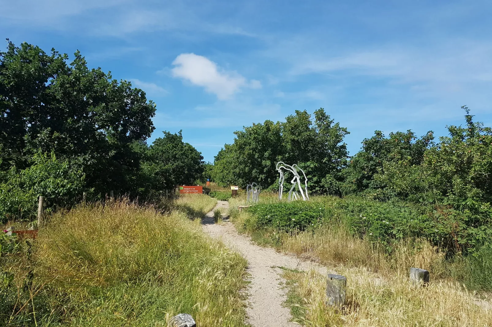De Groene Lantaarn-Areas summer 1km