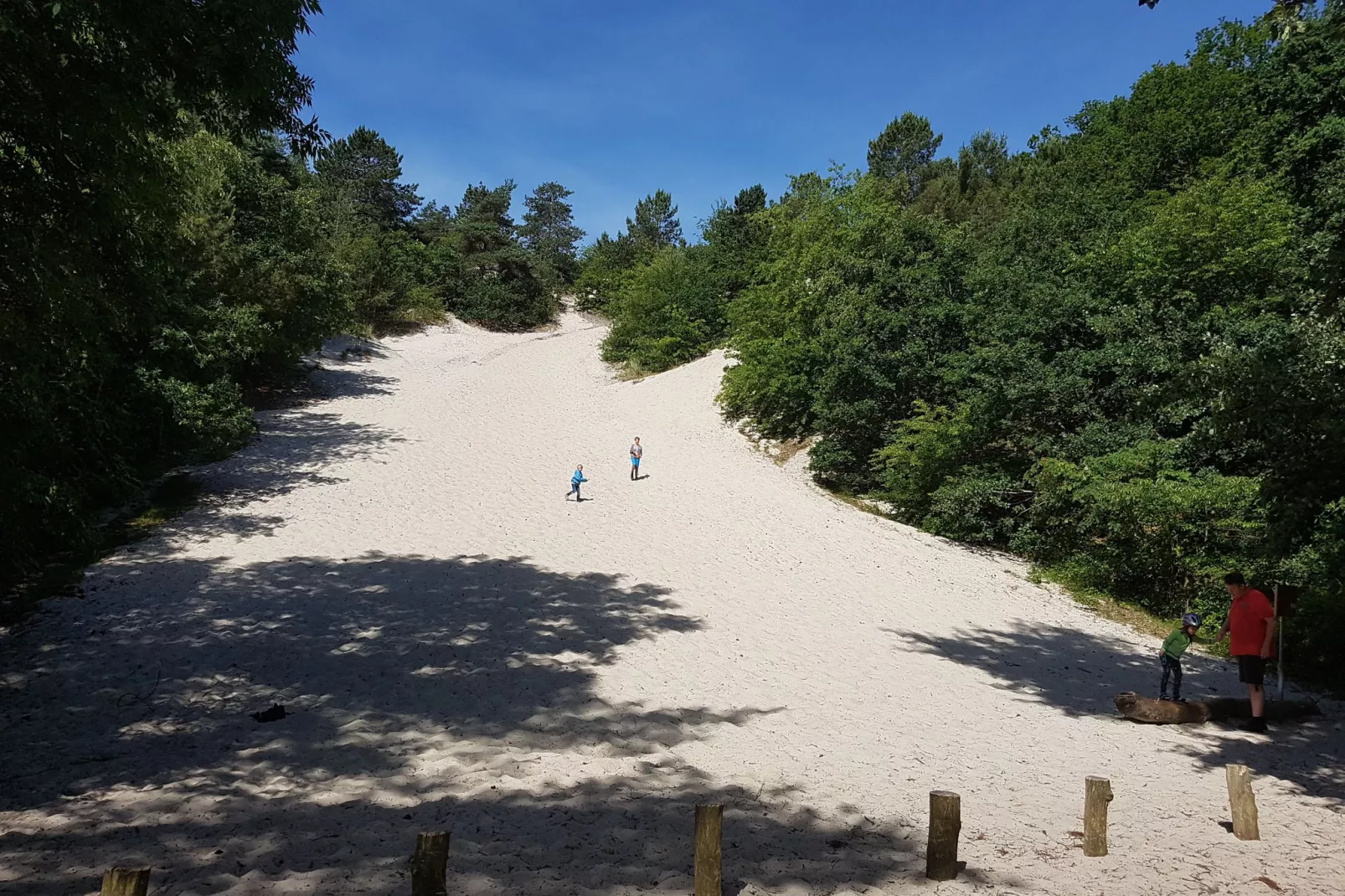 De Groene Lantaarn-Areas summer 5km