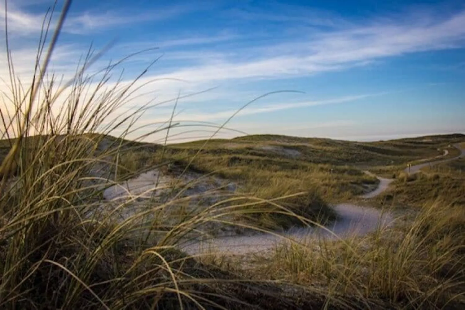 Gentiaan aan Zee-Areas summer 5km