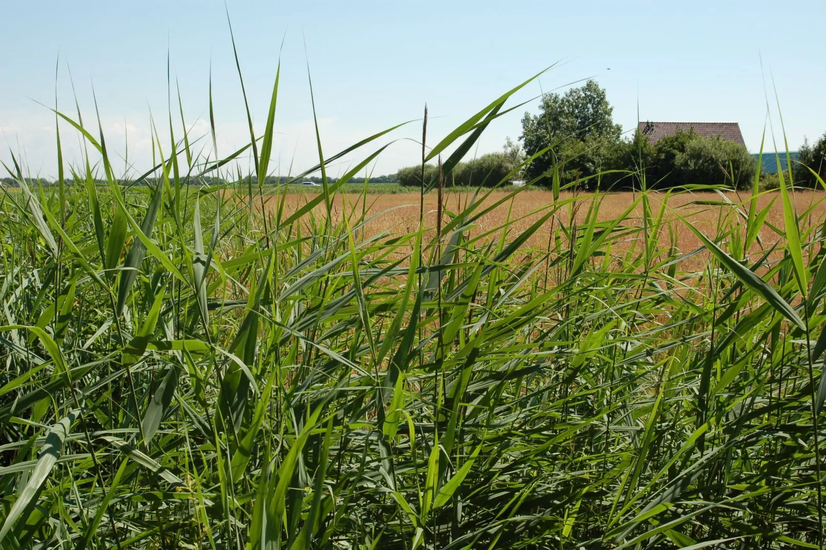 Kustpark Texel 5-Gebiete Sommer 5 km