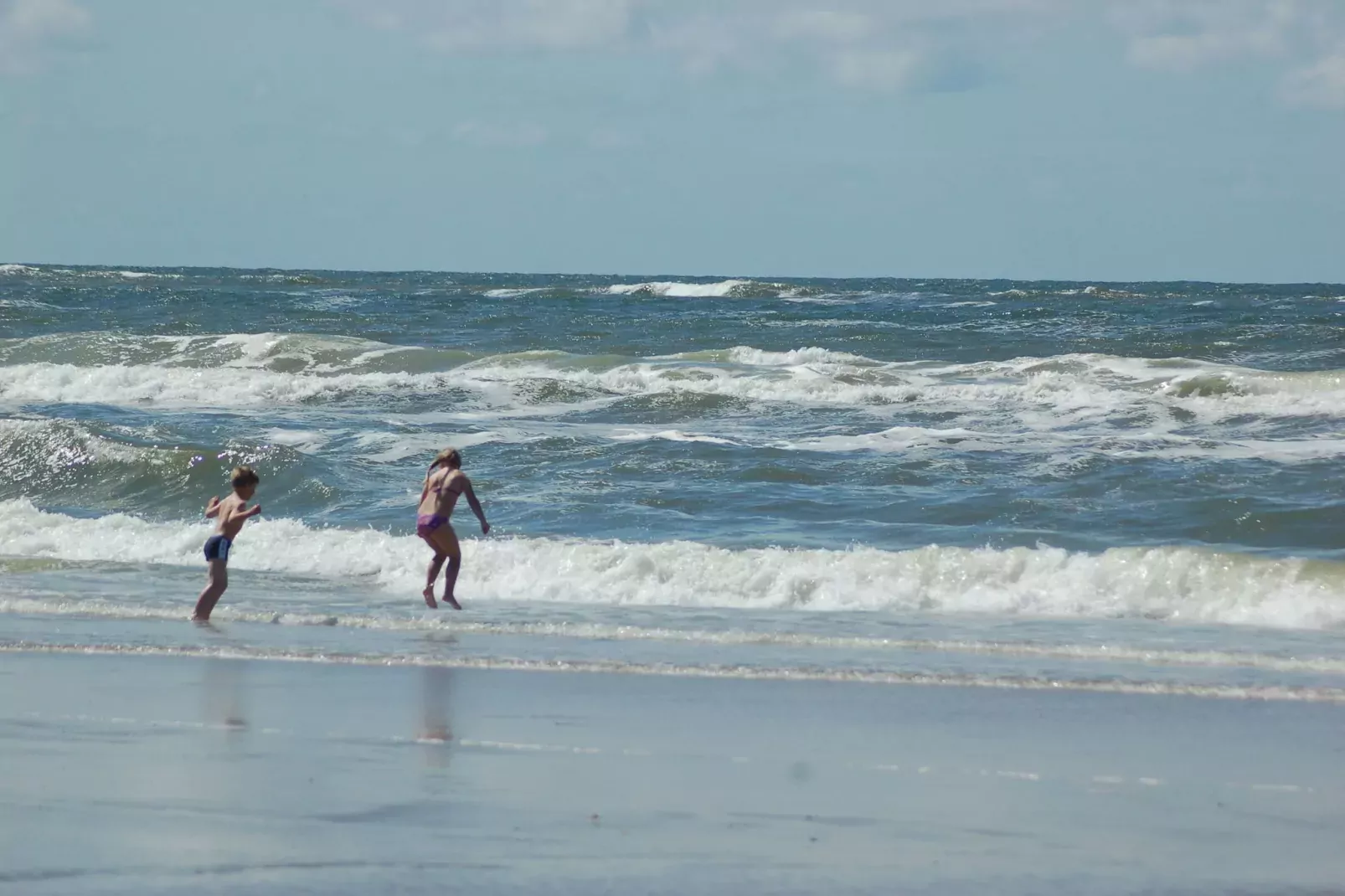 Kustpark Texel 5-Gebiete Sommer 5 km