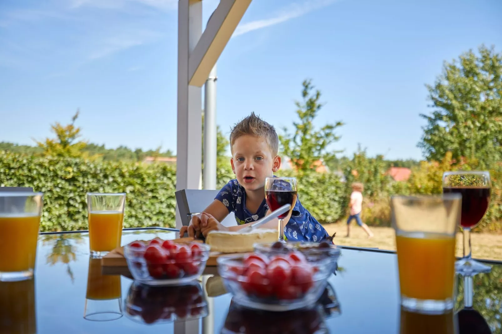 Buitenhof De Leistert 11-Terrace balcony