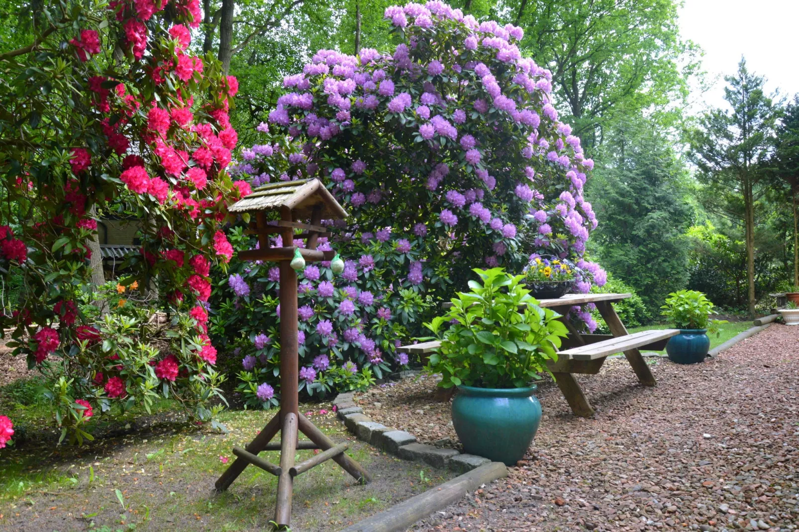 De Botterviever-Jardin d'été