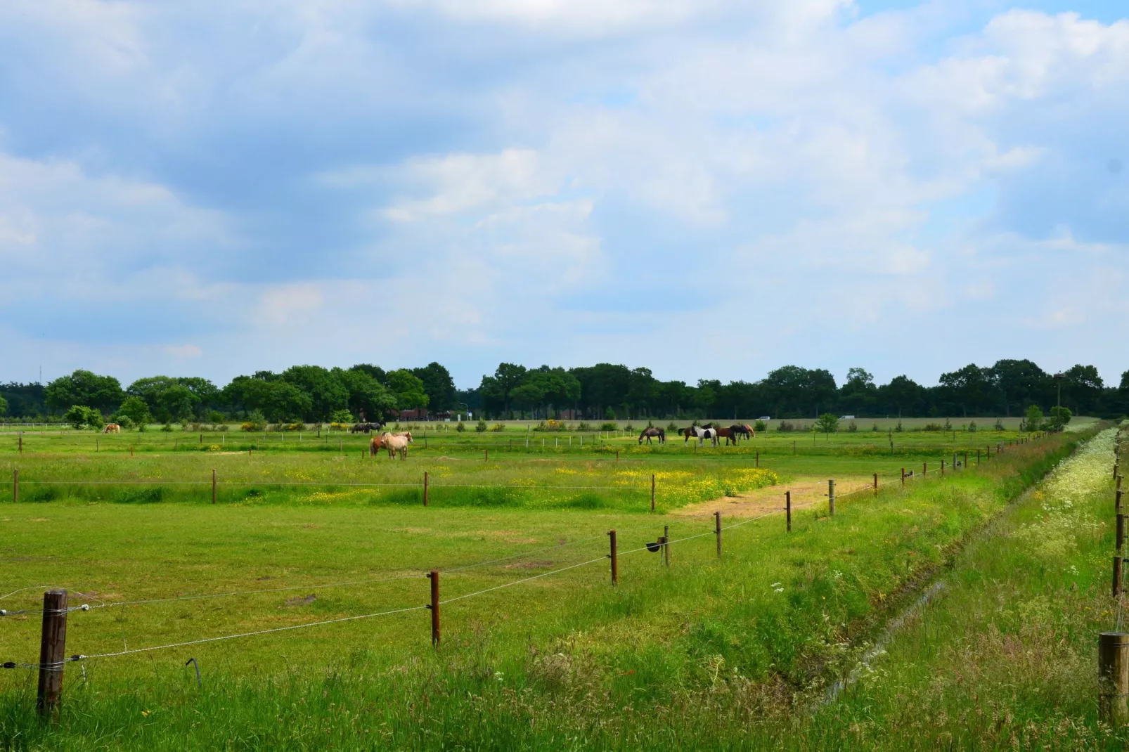 De Botterviever-Zones d'été à 1 km