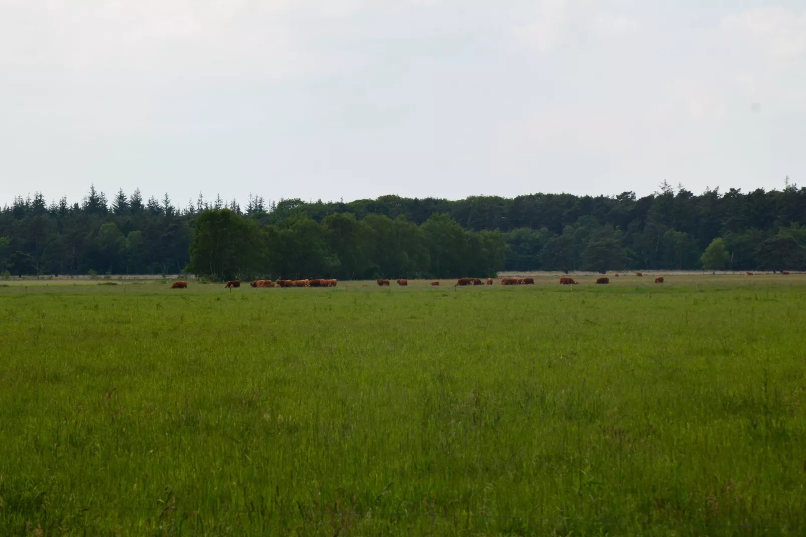 De Botterviever-Zones d'été à 5 km