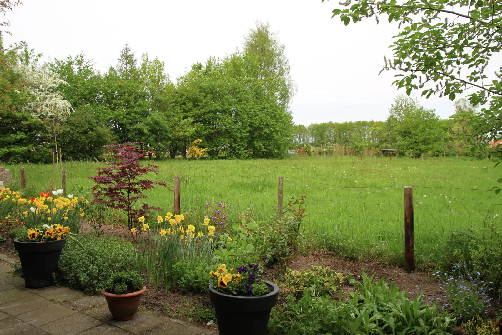 't Haske-Gardens summer