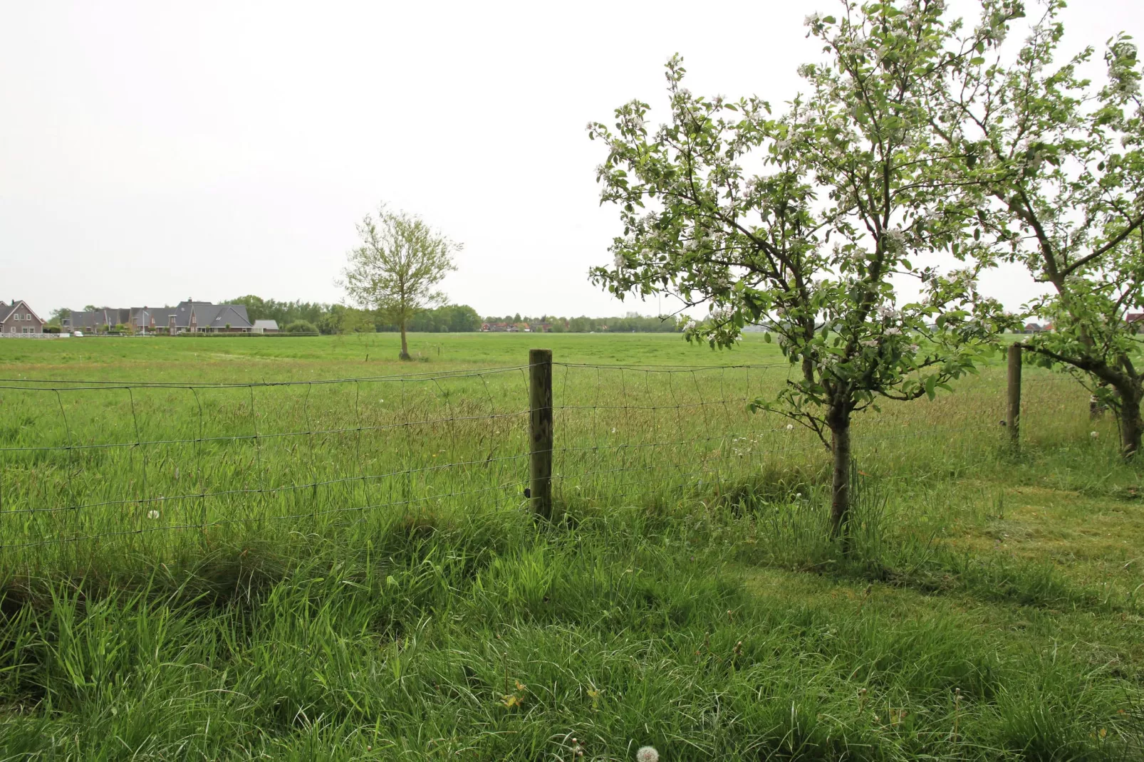't Haske-Areas summer 1km