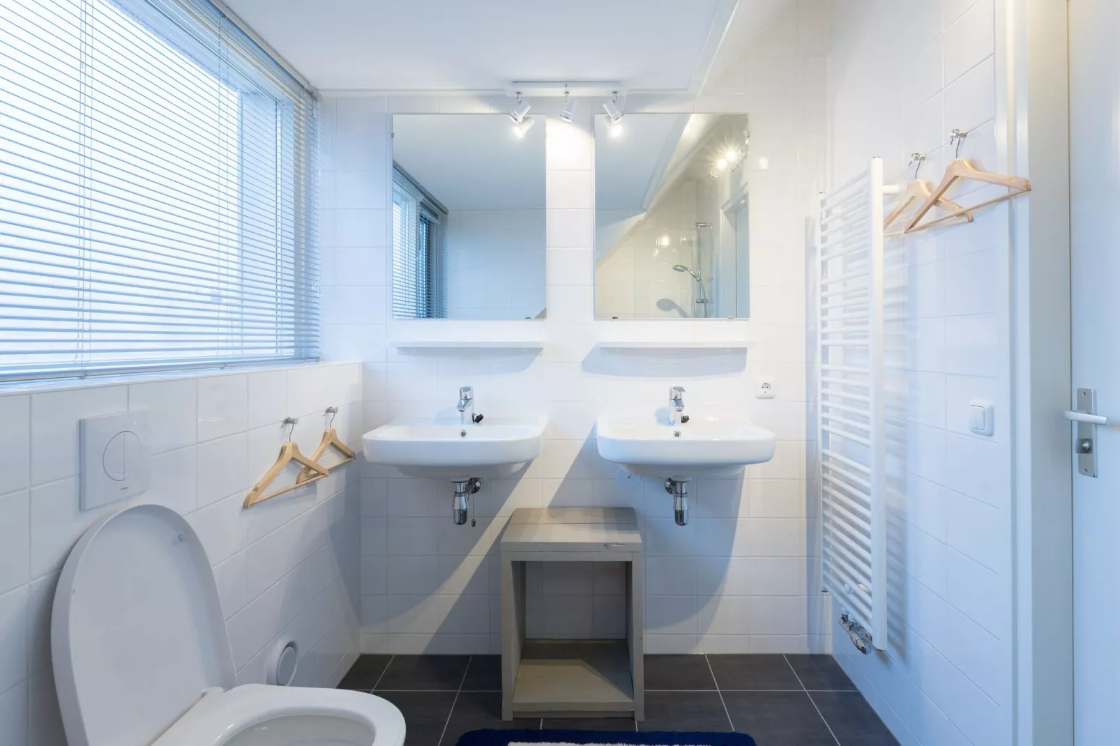Waterpark Langelille 2-Badezimmer