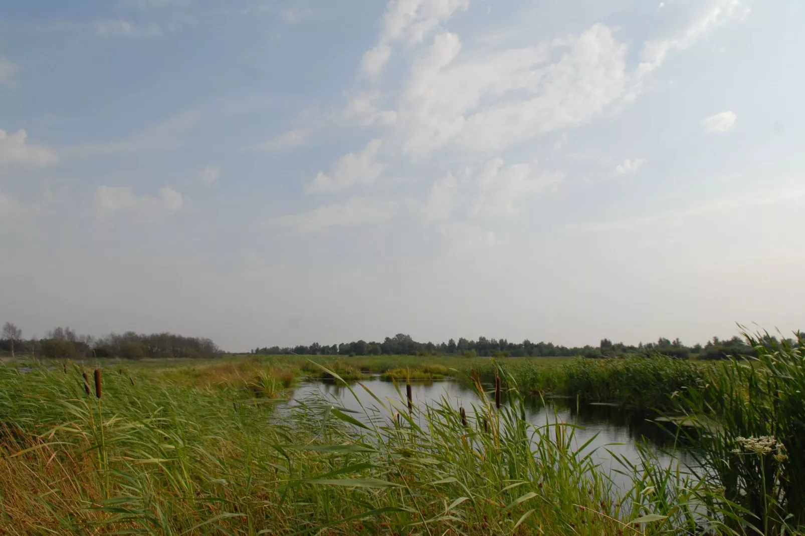 Buitenplaats It Wiid-Areas summer 5km