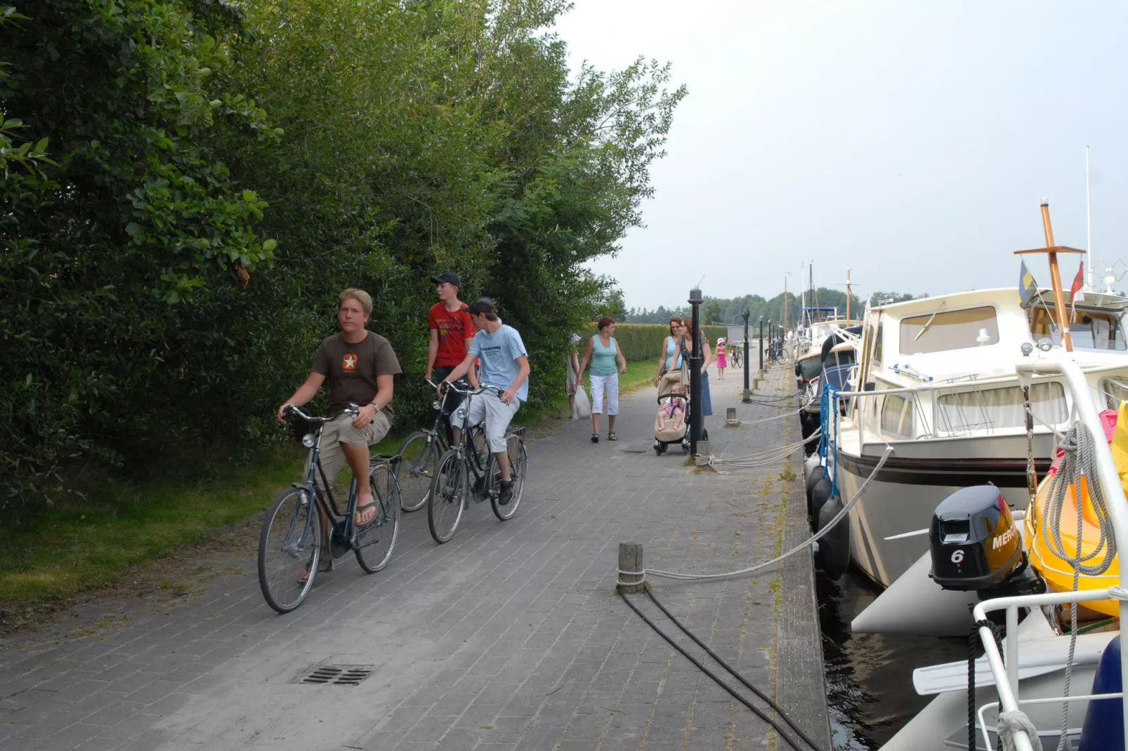 Buitenplaats It Wiid 5-Areas summer 5km