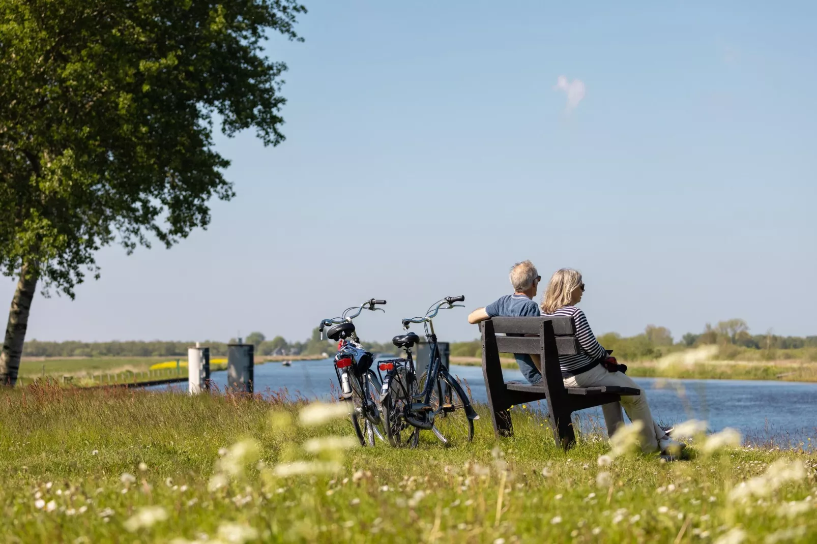 Buitenplaats It Wiid 5-Areas summer 5km